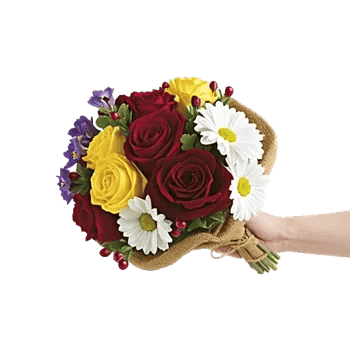 Blossom Harmony Display