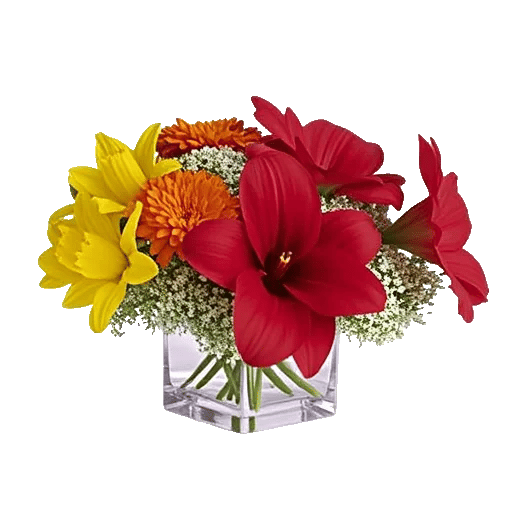 Petal Radiance Bliss