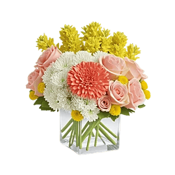 Petal Harmony Bliss