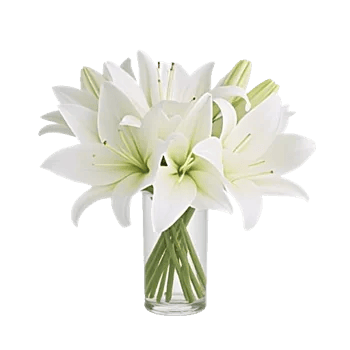 Graceful Lily Display