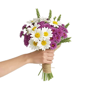 Coral Blossom Harmony