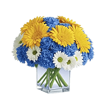 Radiant Bloom Cascade