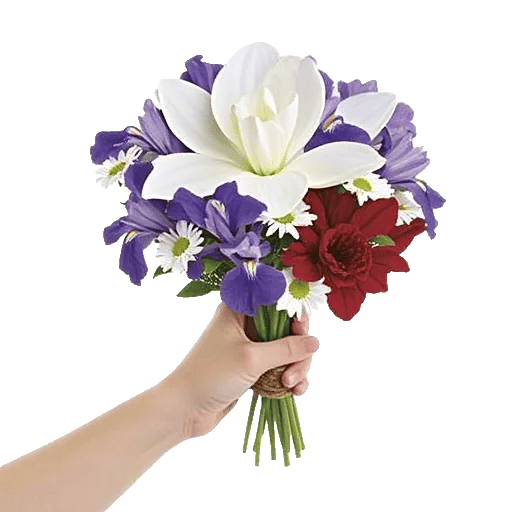 Ivory Garden Grace