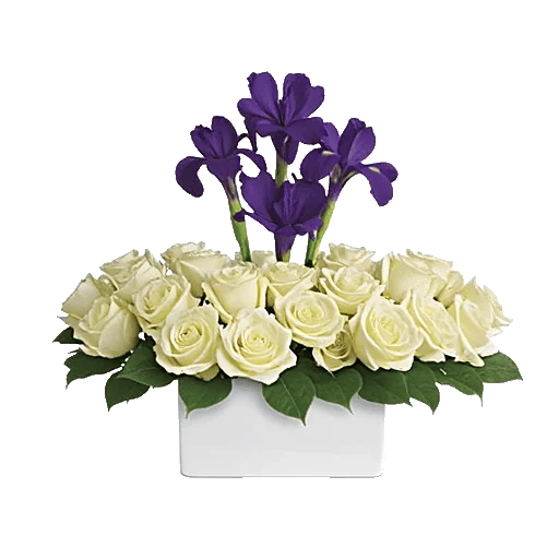 Ivory Blossom Radiance