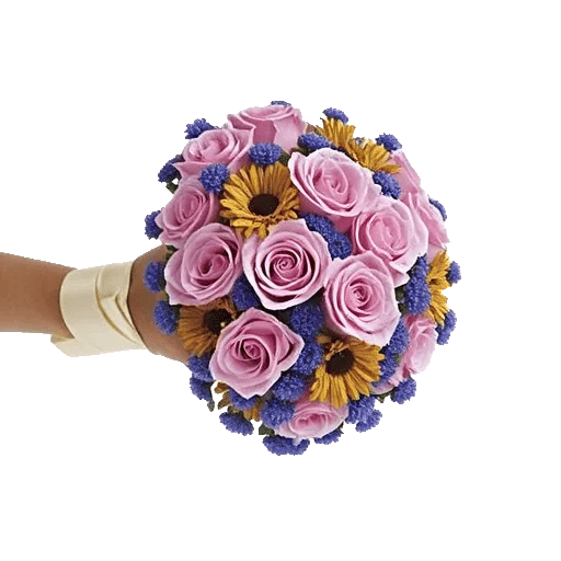 Blushing Rose Symphony