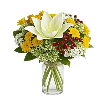 Graceful Lily Display