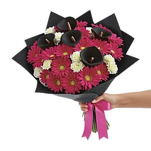Elegant Calla Lilies