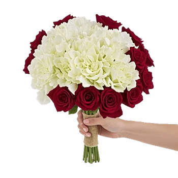 Serene Petal Harmony