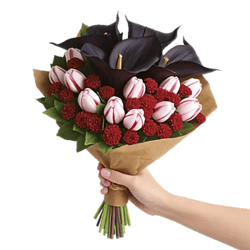 Elegant Calla Lilies