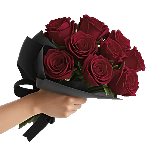 Crimson Rose Elegance
