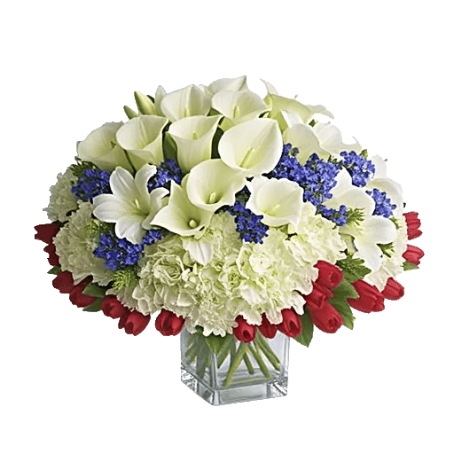 Elegant Calla Lilies