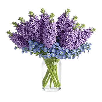 Lavender Bloom Grace