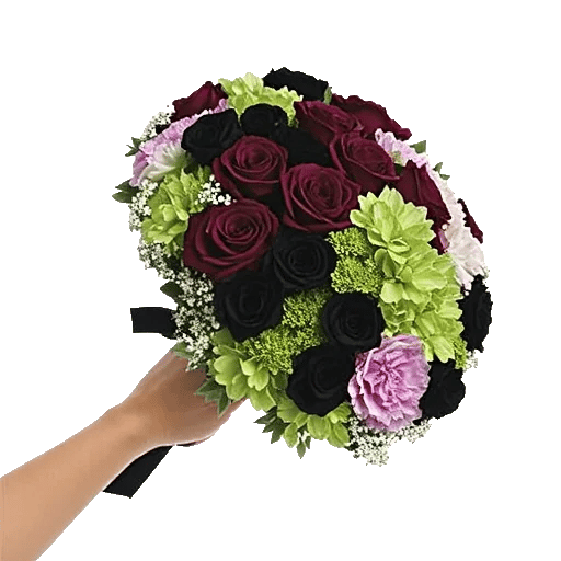 Blushing Rose Symphony