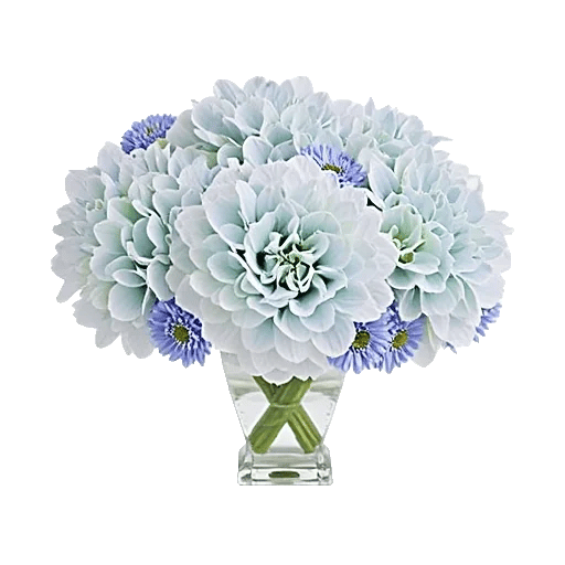 Sapphire Bloom Whisper