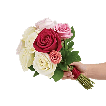 Rosemary Bloom Elegance