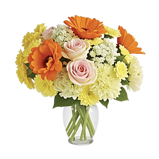 Petal Radiance Bliss