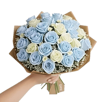 Elegant Blue Roses