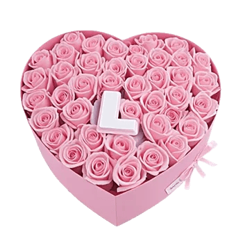 Blushing Rose Symphony
