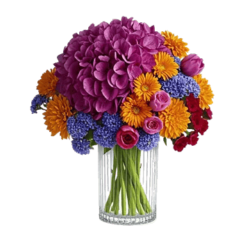 Petal Radiance Bliss