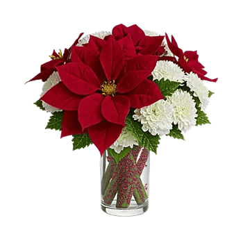 Petal Radiance Bliss