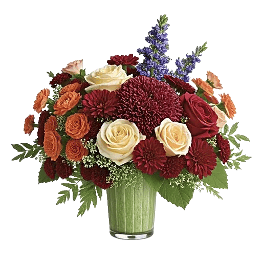 Petal Radiance Bliss