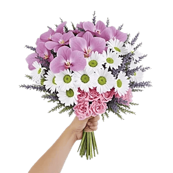 Orchid Bloom Cascade