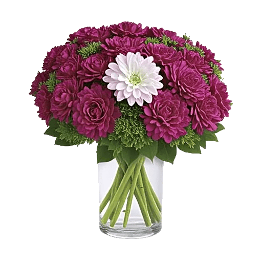 Petal Radiance Bliss