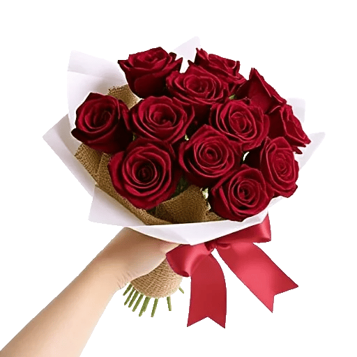 Crimson Rose Elegance