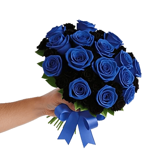 Elegant Blue Roses