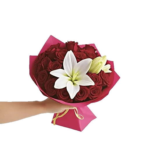 Crimson Rose Elegance