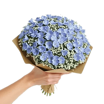 Blossom Petal Serenity