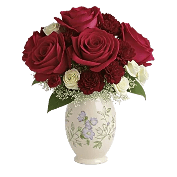 Crimson Rose Elegance