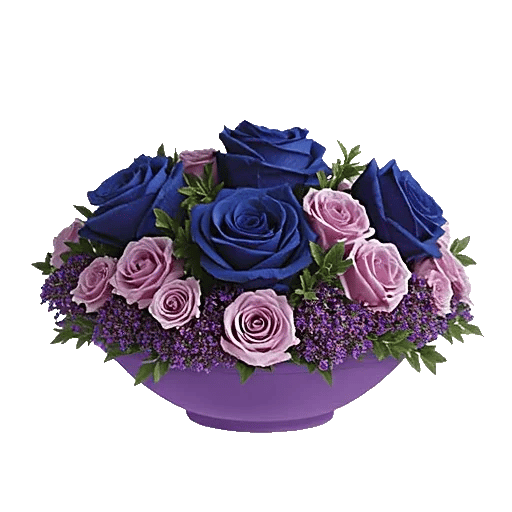 Elegant Blue Roses
