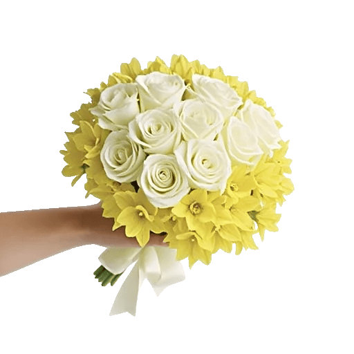 Blushing Rose Symphony