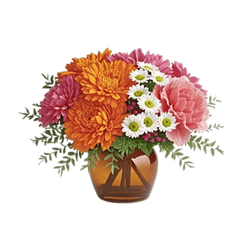 Petal Radiance Bliss