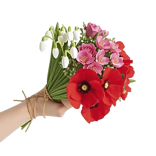 Blossom Harmony Display