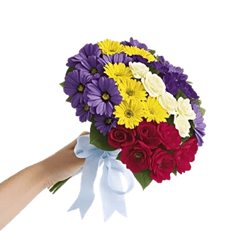 Blossom Petal Serenity