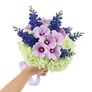 Blossom Petal Serenity