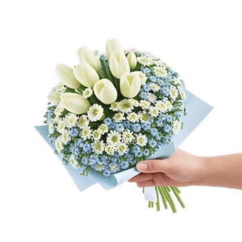 Serene Petal Harmony