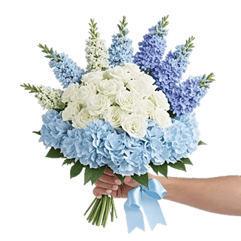 Sapphire Bloom Whisper