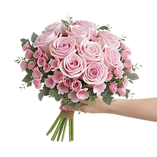 Pastel Pink Roses