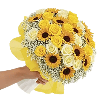 Blushing Rose Symphony