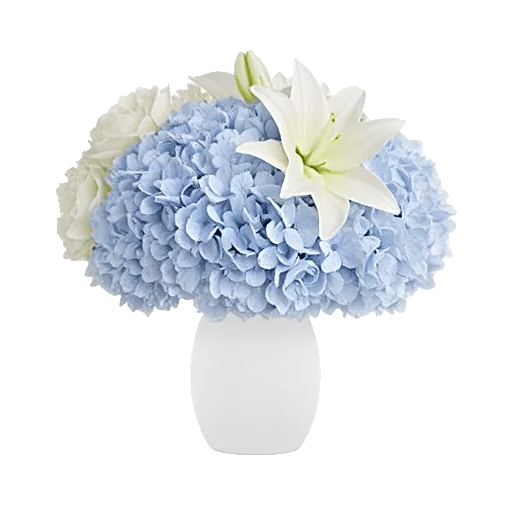 Ivory Blossom Radiance