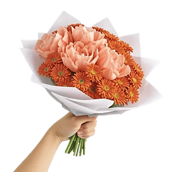 Peony Petal Harmony