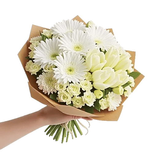 Blossom Harmony Display