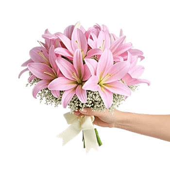 Blushing Rose Symphony