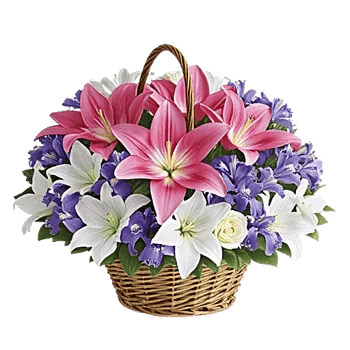 Graceful Lily Display