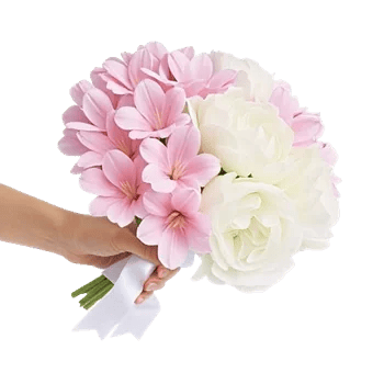 Peony Petal Harmony