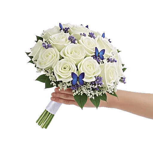 Blushing Rose Symphony