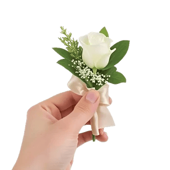 Minimalist White Orchids